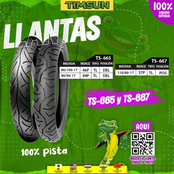 Llanta para moto TIMSUN TS-667